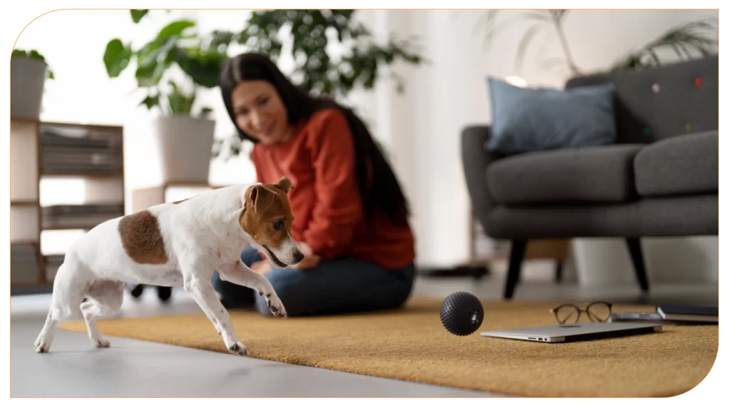 Ofereça estímulos mentais e físicos pro seu pet no apartamento