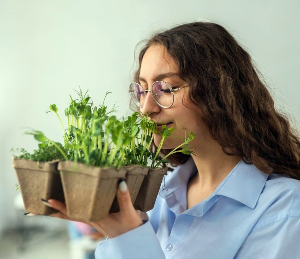 Horta em apartamento micro verdes horta em apartamento micro verdes
